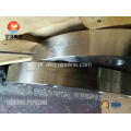 Flange cega A182 F317 / 317L RF ANSI b 16.5